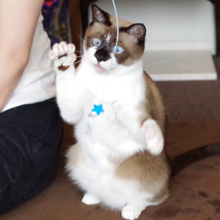 A645eff1 5eb2 4066 9eda 5446f9c691b5