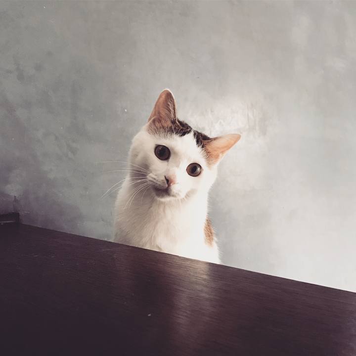 A64657ed 8af1 4ea0 956b c089374109bf