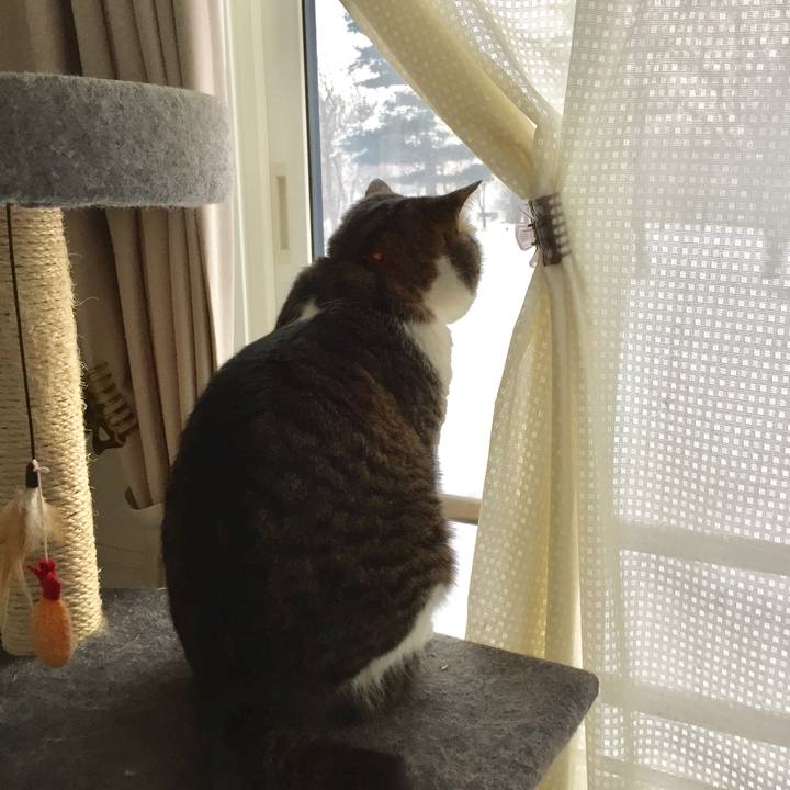 A646ecd1 af45 4a71 ab73 5f25a577ba5c