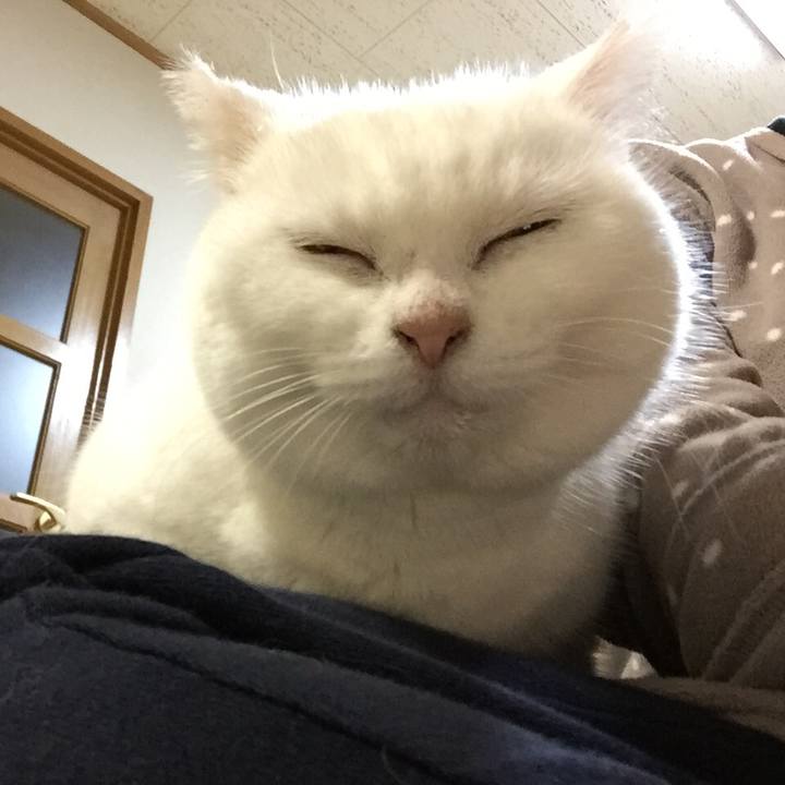 A646fa1f a8cd 4d98 a7ee 934d4dc13da4