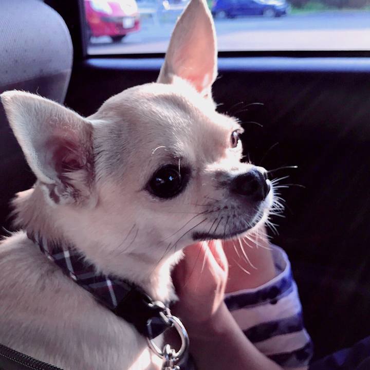 A64725d1 e717 43c2 9d17 3b6219fa894c