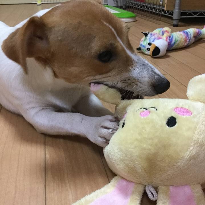 A64733cb c7e3 4fd3 bfa8 50b760fe07c2