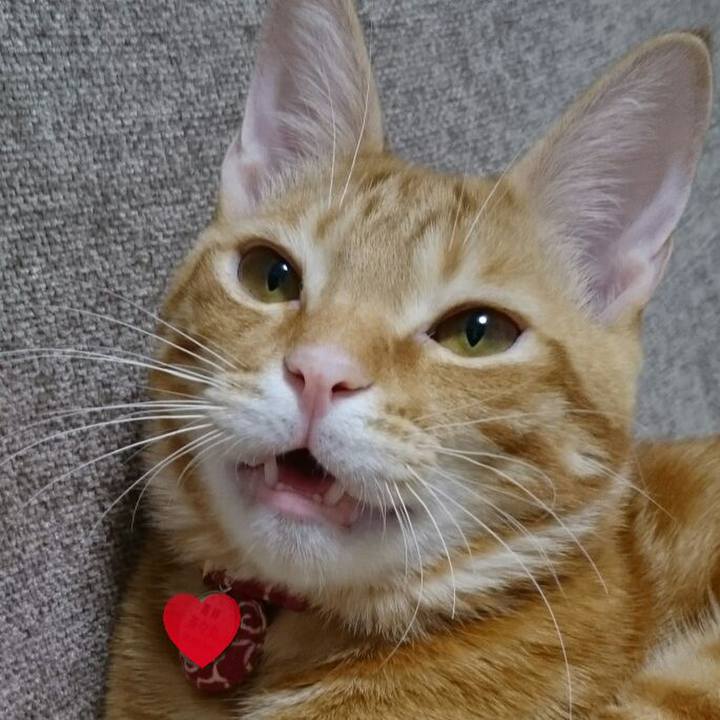 A647451b c047 4f2b b15d d2d108a97094