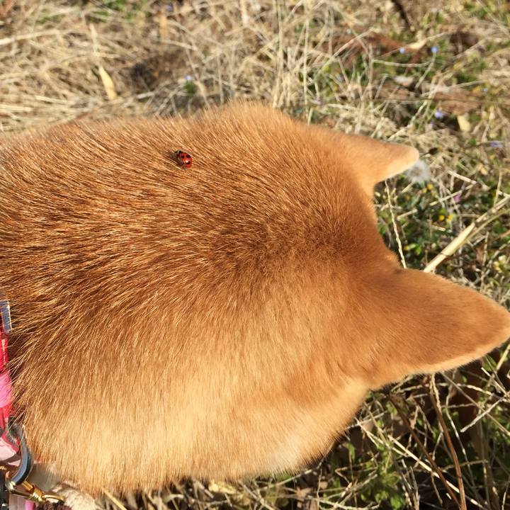 A6498154 eda4 447b b461 5ea352ac77f0