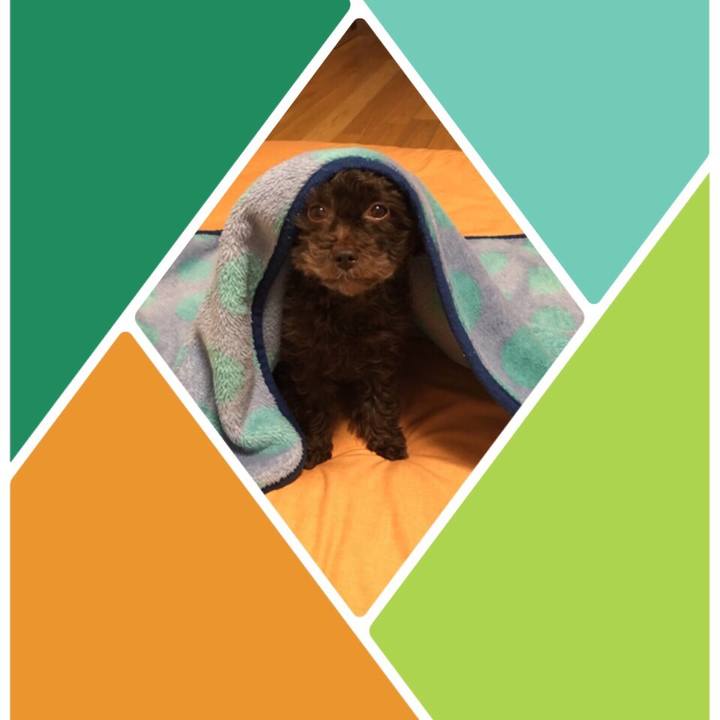 A6498d6f c9e5 4b68 a21f 77a4504ac75d