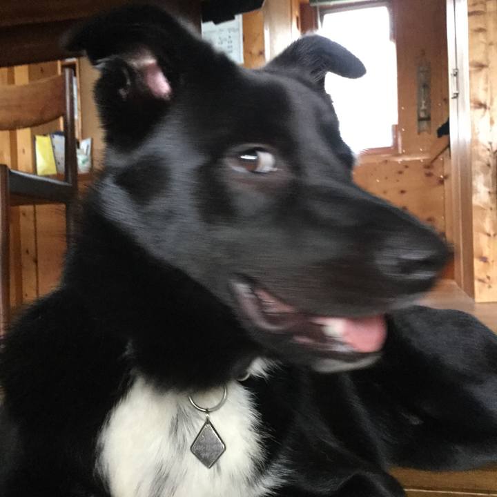A649acfa 2240 4cac 85d2 15311bad28a5