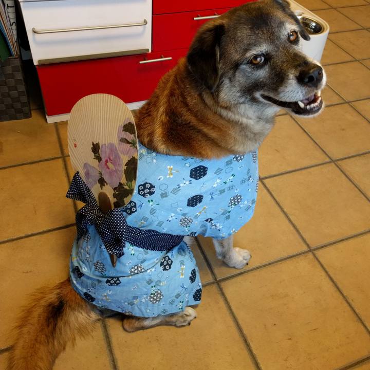 A649f405 c62d 40ca adcc 8394356a4456