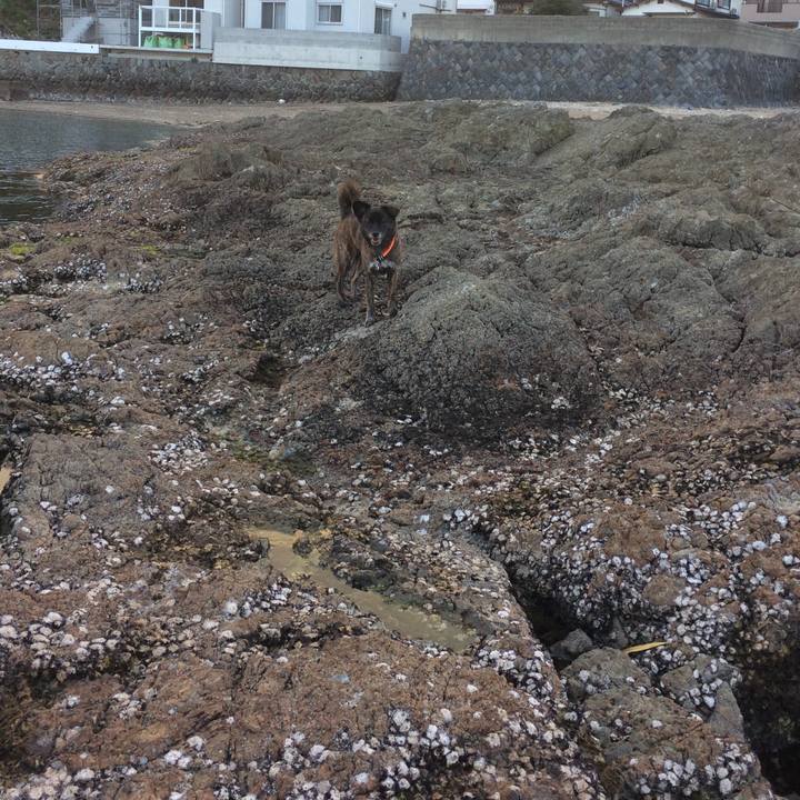 A64a33ac a84c 4999 be80 a511dd24d10e