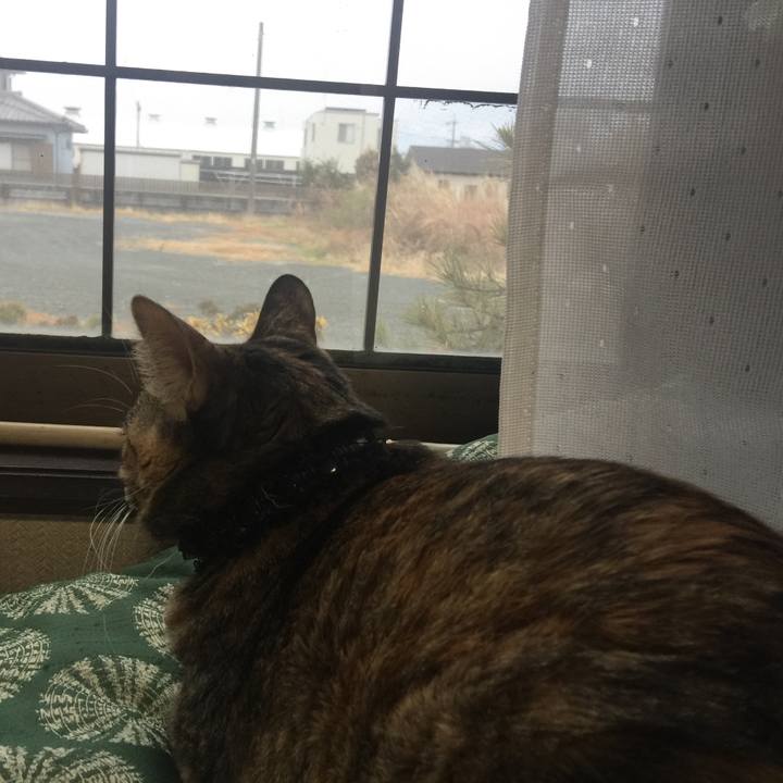 A64ac587 e2a2 4752 a206 4e0cb69bbf56