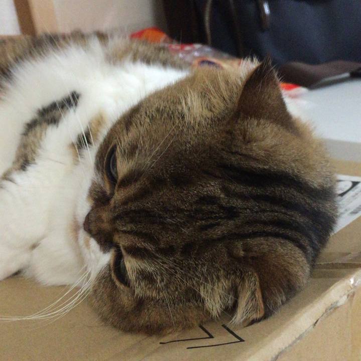 A64b8048 8df6 440c ba88 f6006ec0e10a