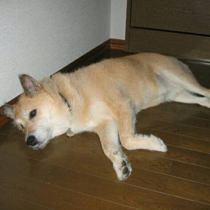 A64ba56e 5688 4f7a 965a 5011253dd5ec