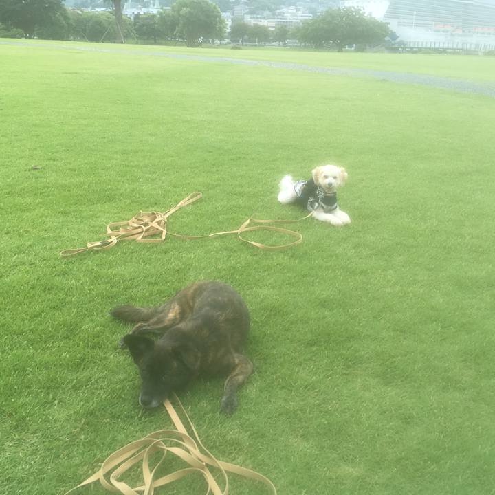 A64bf549 1c5d 46fe 9402 64214e249000