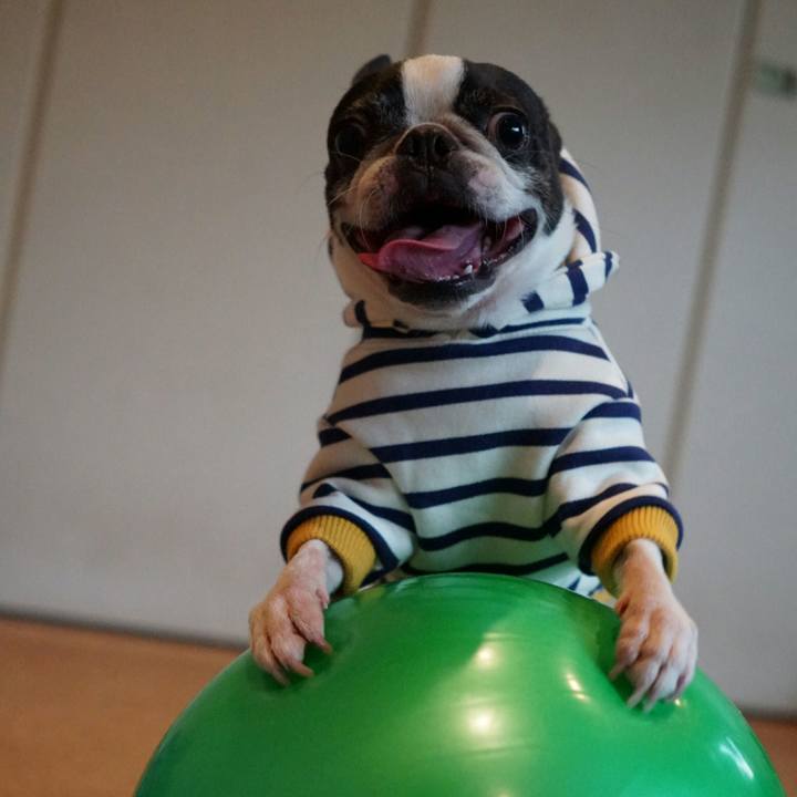 A64c51c3 8d2d 4a5d 8996 d8d77bbc4324