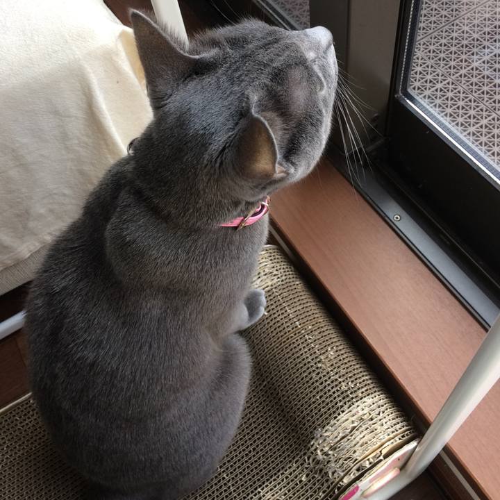 A64c8c7d 8965 4281 a9c8 e5cc89ba343a