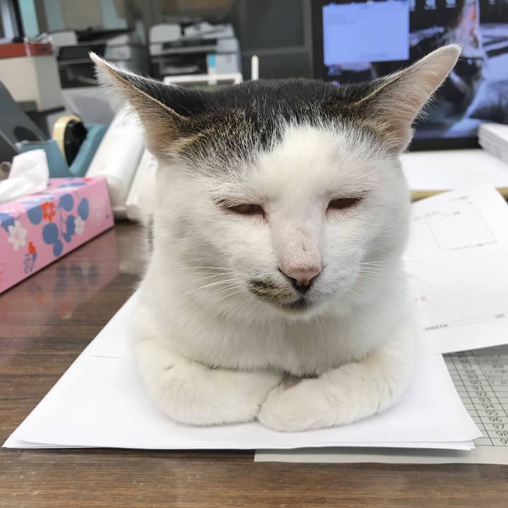 A64cedaf 9e20 454e 897a 6e5861c9ea84