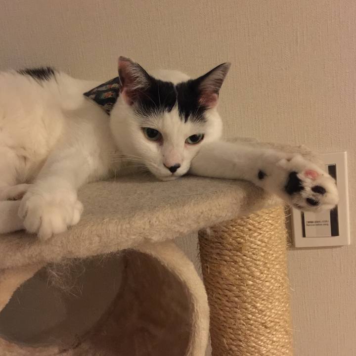 A64d1926 976d 4eb0 9658 dd0f0544e7ef