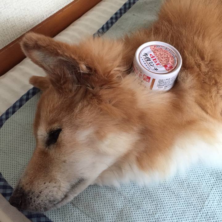 A64d31c6 982c 48b1 b6d1 99ed9f356b23