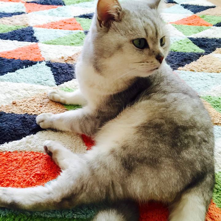 A64e06d4 94ab 4b69 81b9 fa09a93eafd0