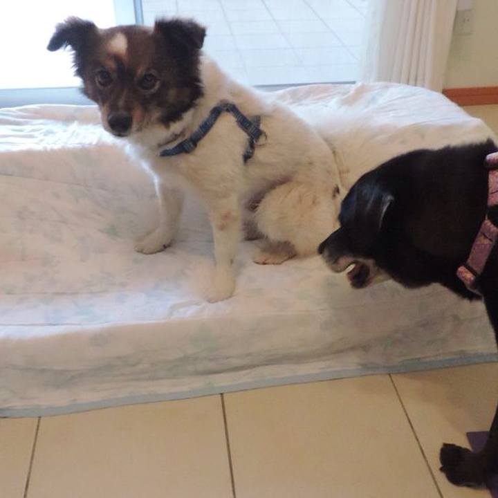 A64e31b6 8492 46fe bc2b 30935dae6a68