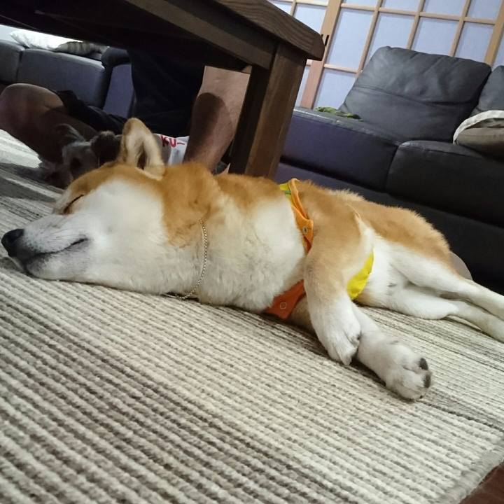 A64e37c2 3847 43c5 9957 93d159c19004