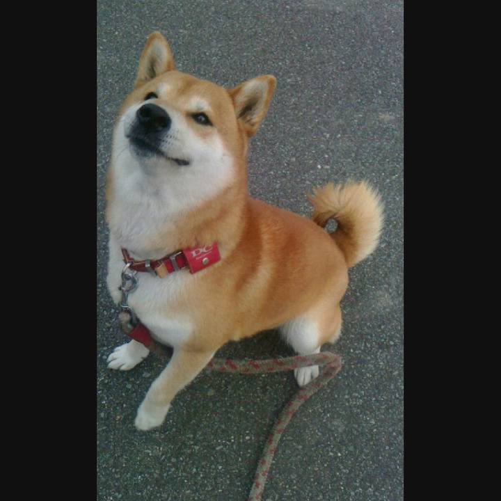 A65048d5 c46f 4640 9be7 2c8f176c762b