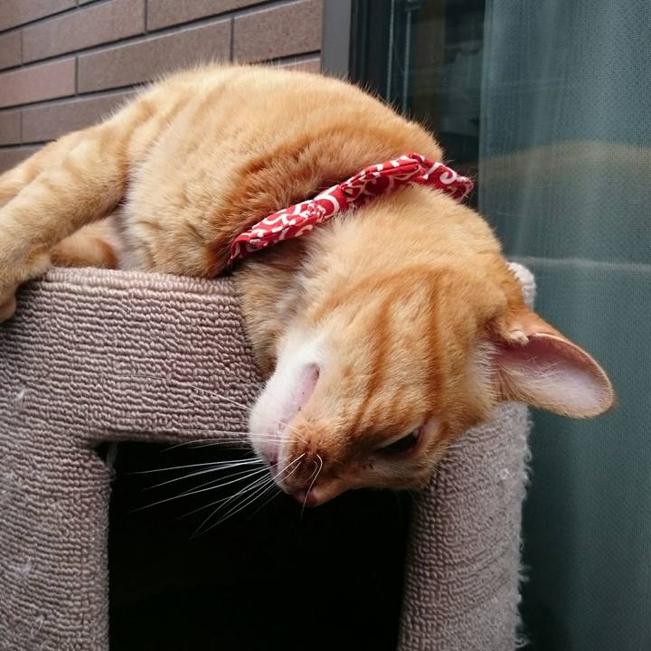 A6508493 8d80 4bc4 bbf7 41c384e8c284