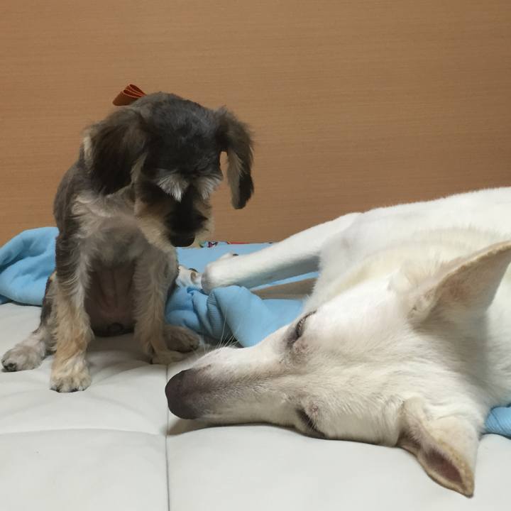 A6512724 62b4 4cb2 81b4 2f8a7f05525e