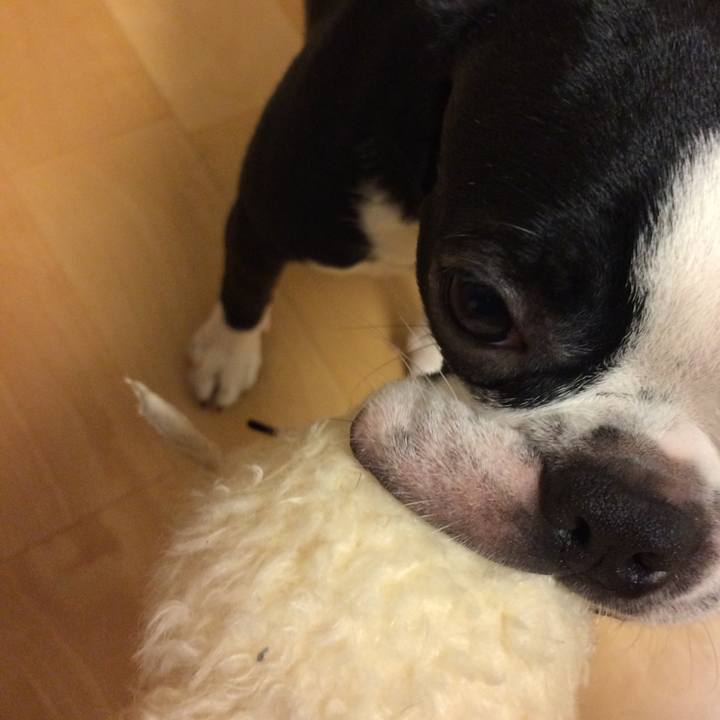 A6512daf 22cf 4a89 b52f 553f909b9797