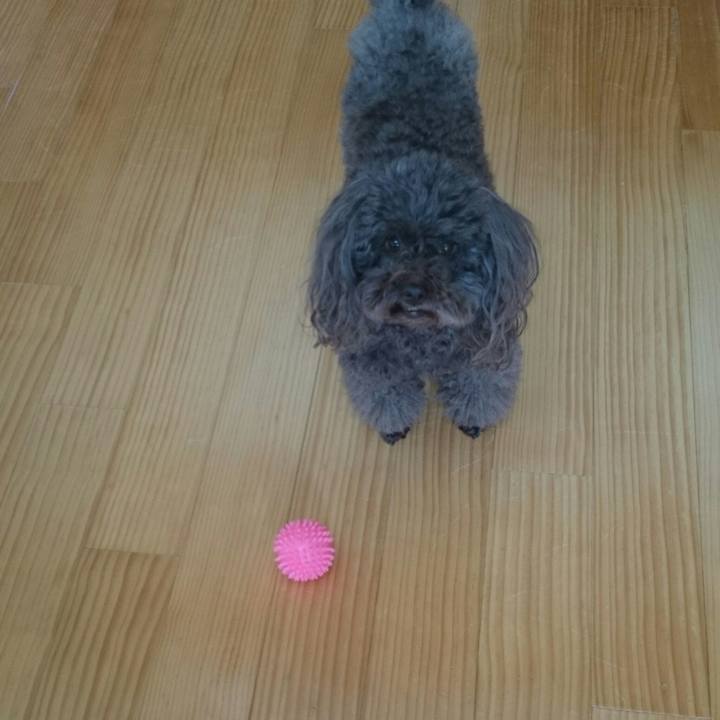 A651301c a51e 4095 abee 55713d3557fd