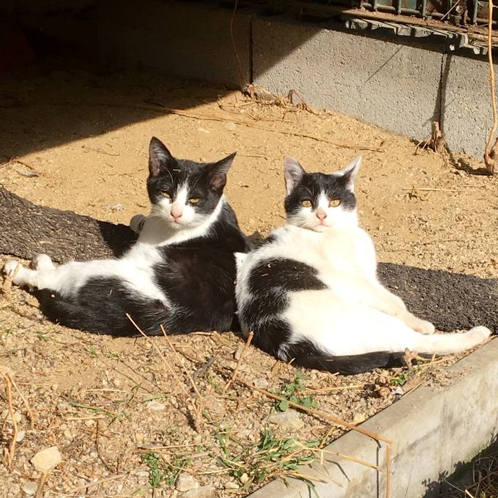 A6515582 d3cc 45ed 8b79 ee7e5968f728