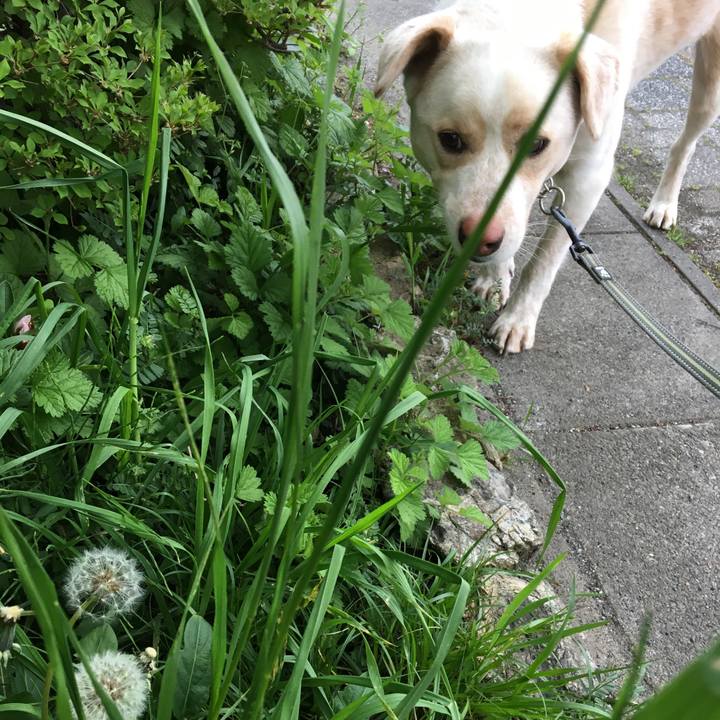 A65161a4 6d83 46c9 bc0d 3721d108f9e1