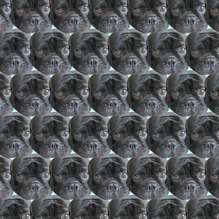A6519c46 38a0 41a2 863a e1971fa7993f