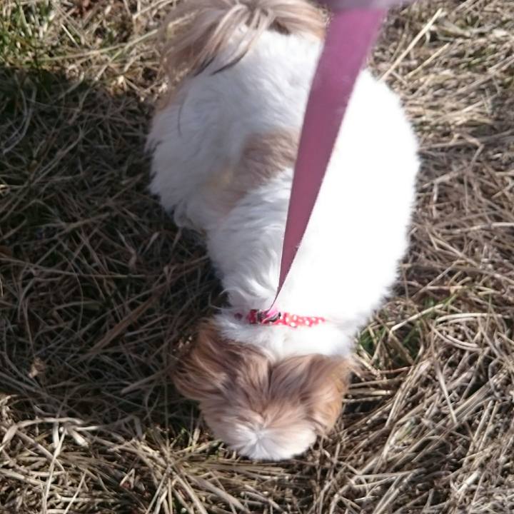 A652fe41 3f56 4bd5 8008 9ed6ee5426a5