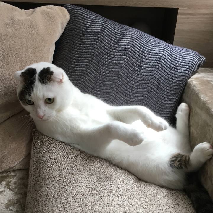 A6545b23 4c0a 4c4e a300 81d0580da0ef