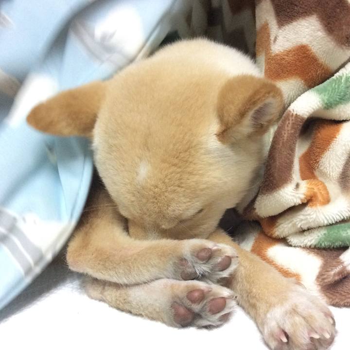 A654cea9 f5d1 4864 91a3 64dd7cd5823c