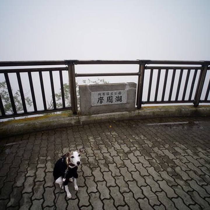 A6553db5 245f 43f9 bd04 0320c58e5188