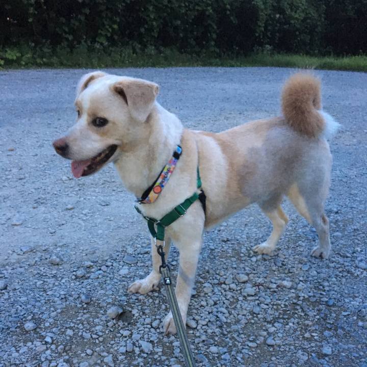 A655bcdf 409b 490a 9bee 7e67d524d402