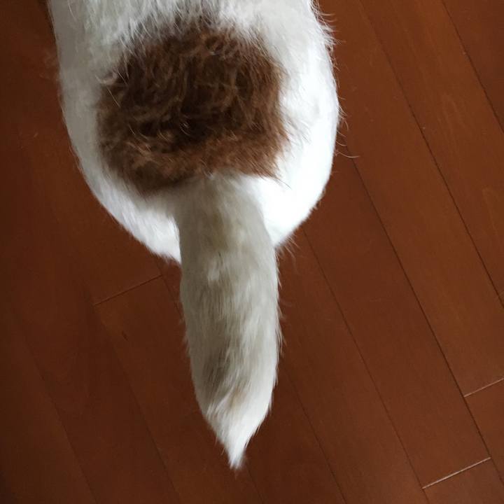 A655be1b 6291 42c1 96ef 2cd917870993