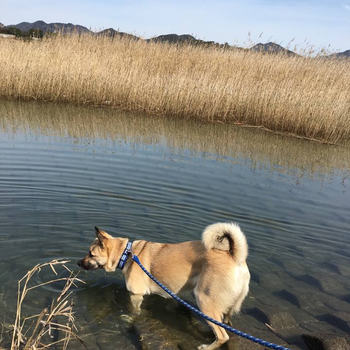 A655db7e f7d4 4b09 b4a4 dc6bee3f8ab4