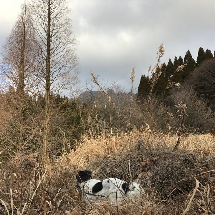 A6565d6e c2a9 4921 8c27 df4a3c1bd4b9