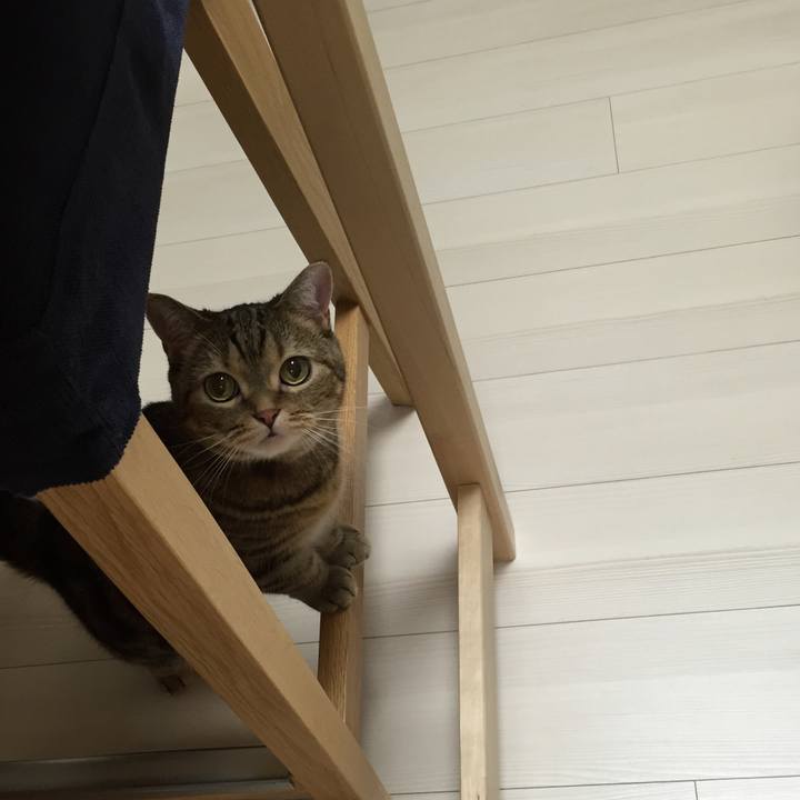 A6568412 528e 4338 b1eb ddb3e933e8bc