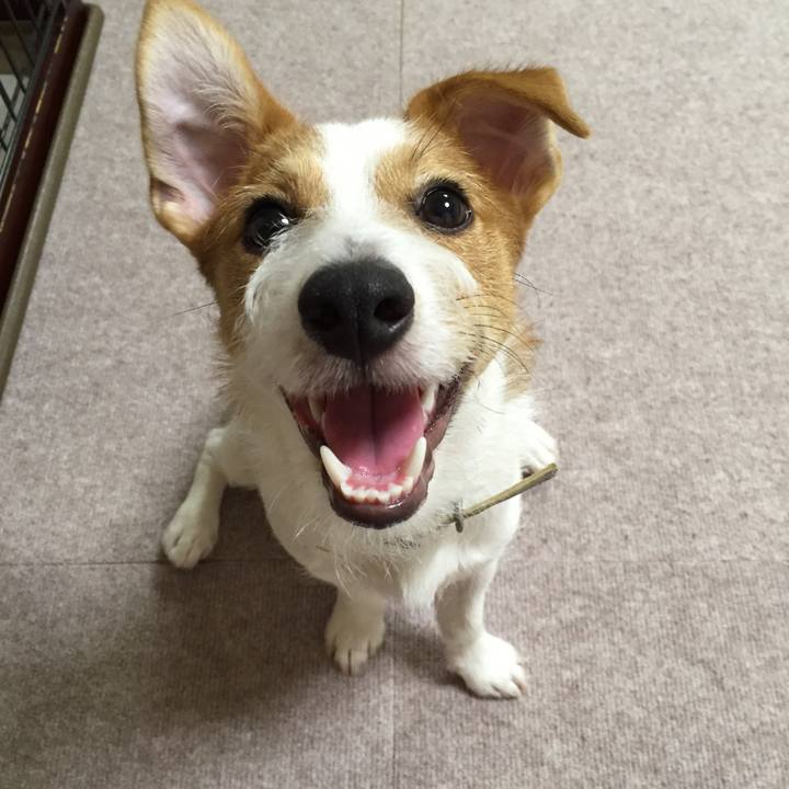 A6579e1c b64e 4da2 9670 789aec965018