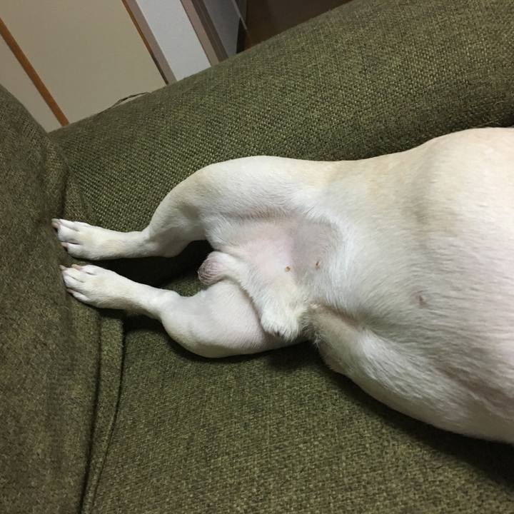 A657a11c d4cd 4c2d 8216 8bd29e6bc809