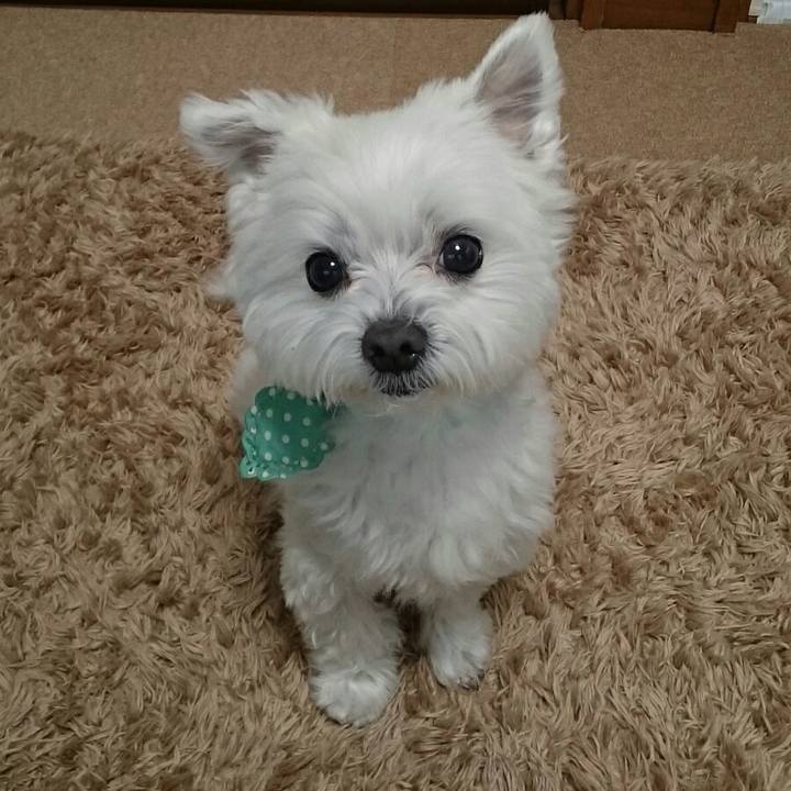 A658ee1a f9be 49fe 8e30 1a220d863972