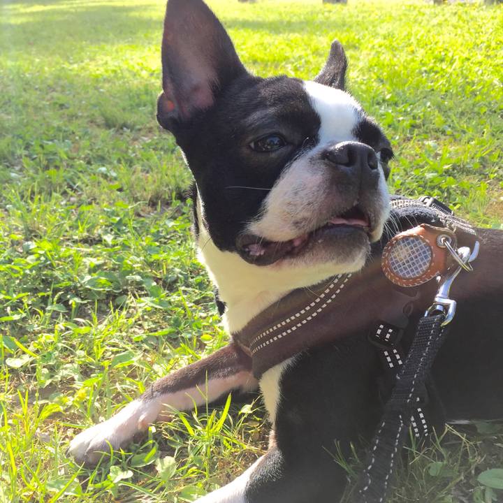 A6597d2c 9e8d 4210 bd53 bfa0619aa625