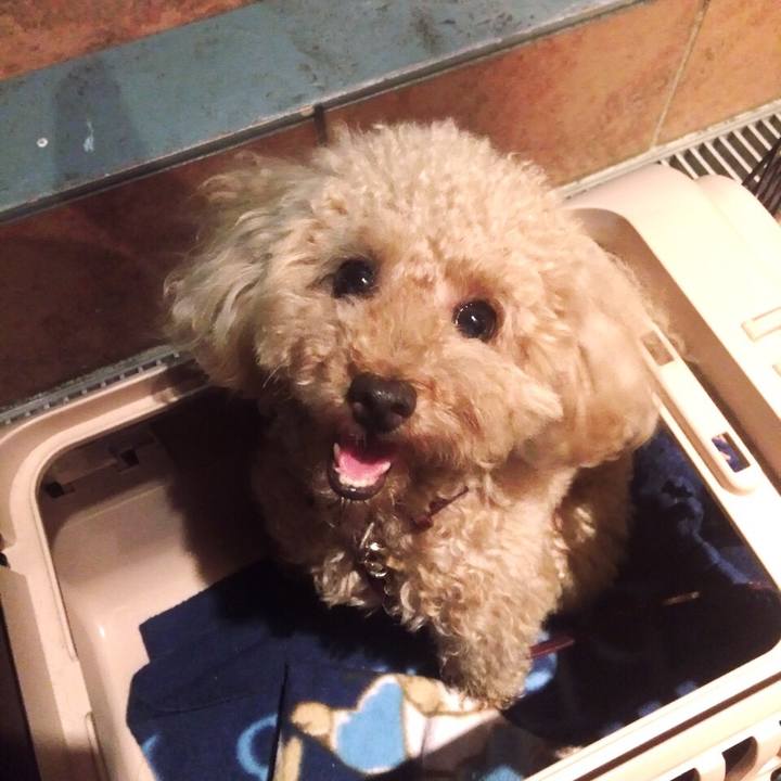 A659cc2a 4cb9 4371 bb88 f3b95aa1e65f