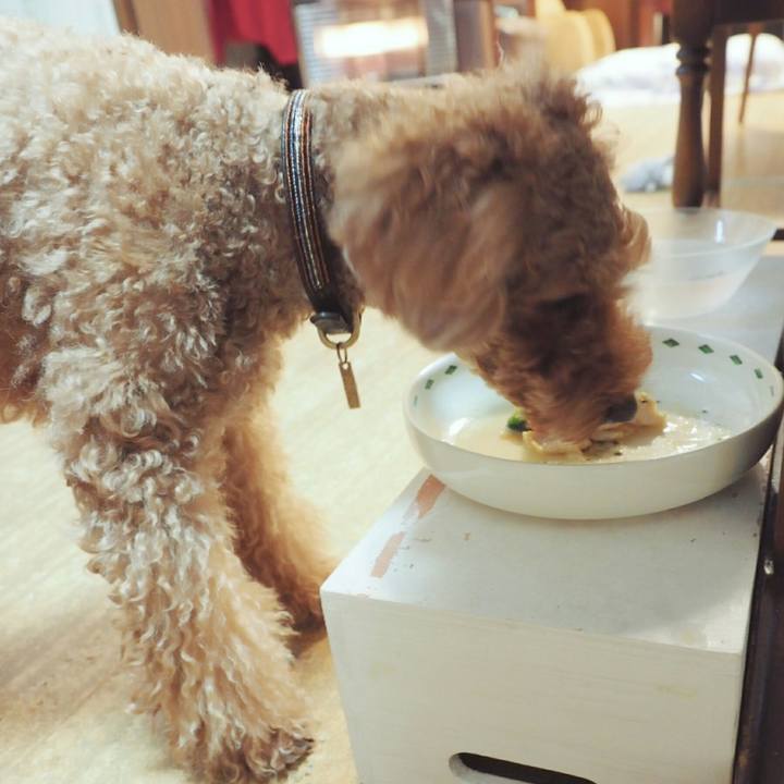 A65a0789 c9c2 4ac2 b812 82dc3d1f4064