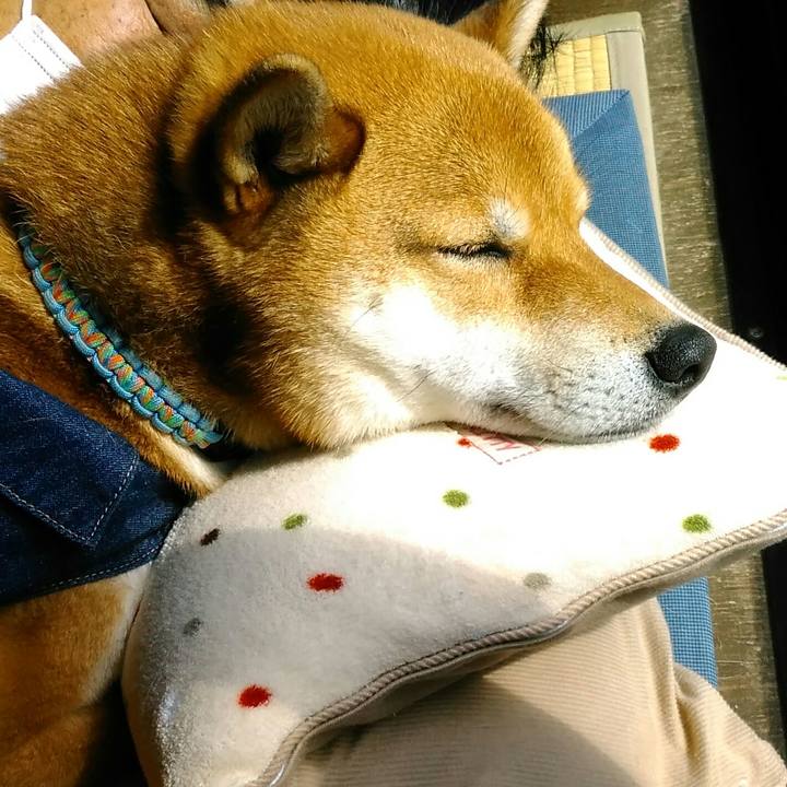 A65ace9d b2ba 42d8 b8ad ba43db579c38