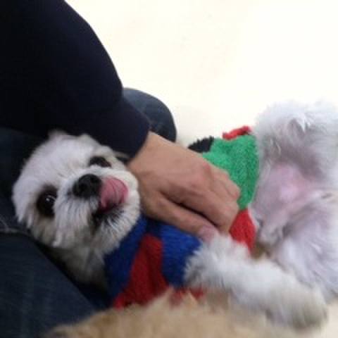 A65b9d21 e9ba 47f2 a406 a91e2e3d0900