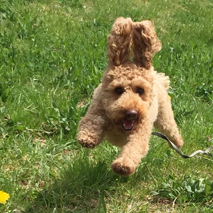 A65ce411 e84e 4357 bfb0 62c6b4dc5f61